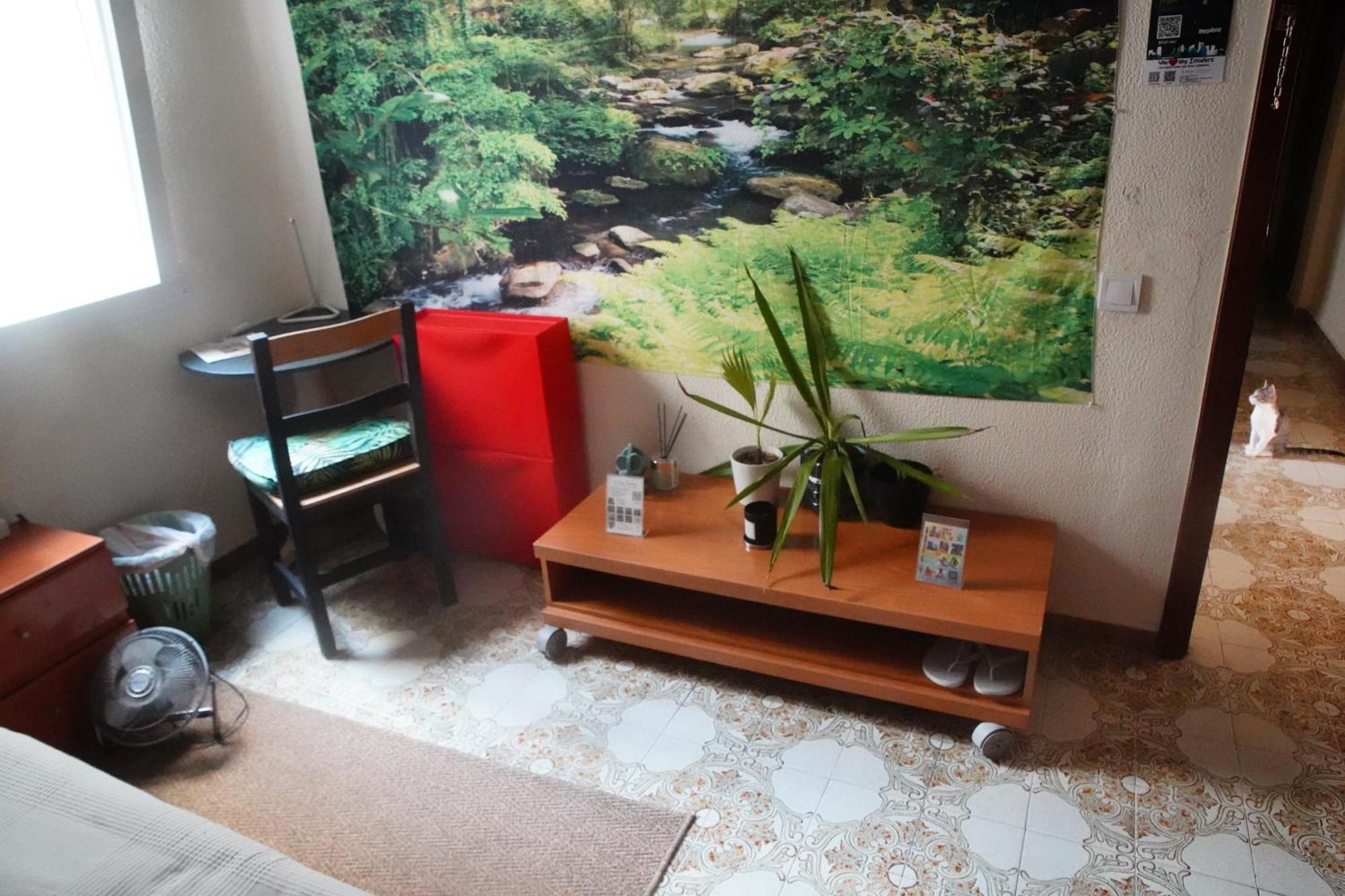 Grosses Modernes Zimmer "Silber" Fuer 2 Personen Und Katzenliebhaber Valencia Exterior photo